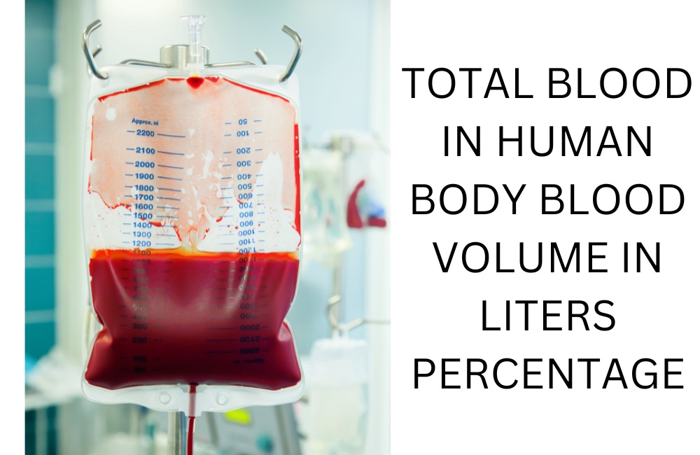 exploring-total-blood-in-human-body-blood-volume-in-litres-percentage